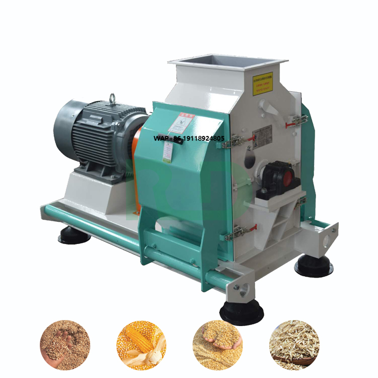 Molino Automático de Alimentos - Grain Mill Grinder reseña y precio